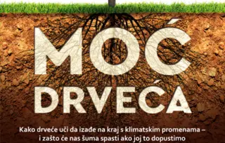 Prikaz knjige „Moć drveća“: Dozvolimo šumama da se same obnove