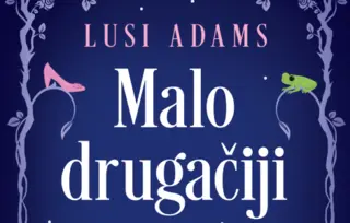 Prikaz romana „Malo drugačiji hepiend“ Lusi Adams