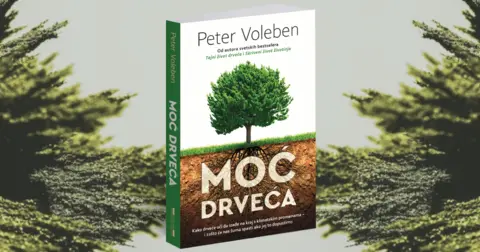 Peter Voleben: Zaštita drveća je i zaštita ljudi - slika 1