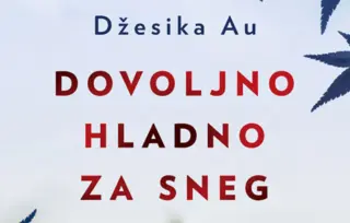 Prikaz romana „Dovoljno hladno za sneg“: Zamršene emocije u hladnom vazduhu