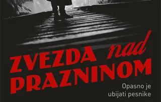 Prikaz romana „Zvezda nad prazninom“: Tajna smrti Branka Miljkovića
