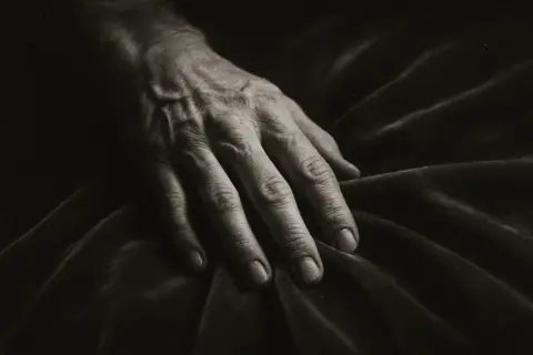 Pisci i moda: Zašto je vezir omrznuo somot - slika 1