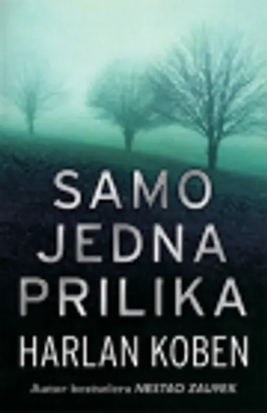 Slika 0 - Samo jedna prilika