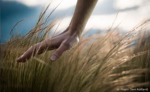 „Sve je to put“ – kratka priča Andrije Jonića - slika 1