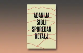 Prikaz romana „Sporedan detalj“: Vreme zamrznuto neizlečivom mržnjom